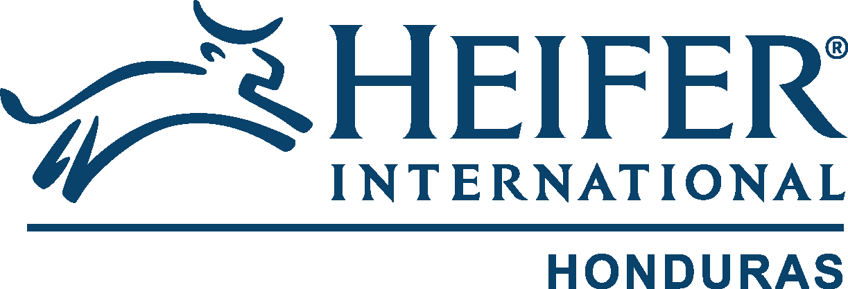 Heifer Honduras