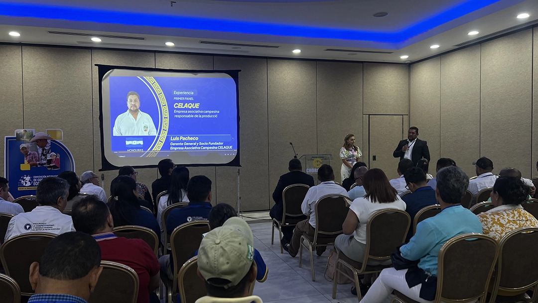 Experiencias de Pasantías